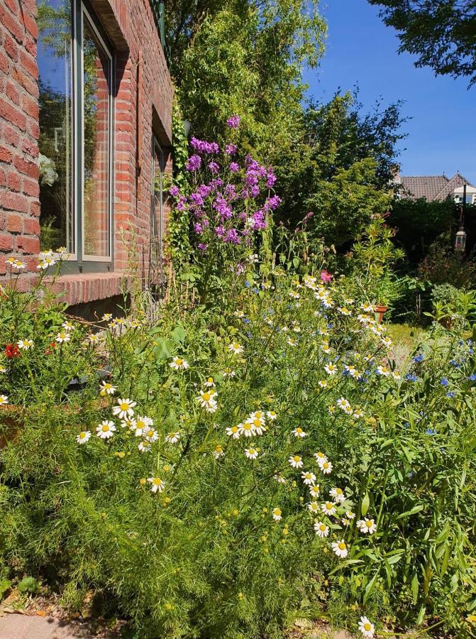 Nederweert De Vliegende Vlinder Bed & Breakfast エクステリア 写真