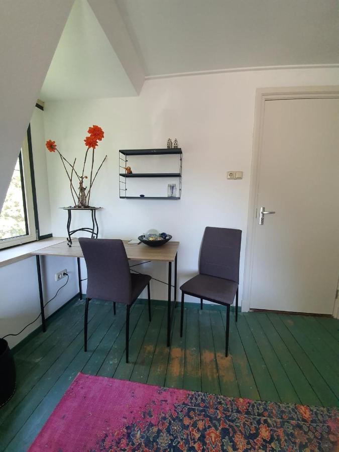 Nederweert De Vliegende Vlinder Bed & Breakfast エクステリア 写真