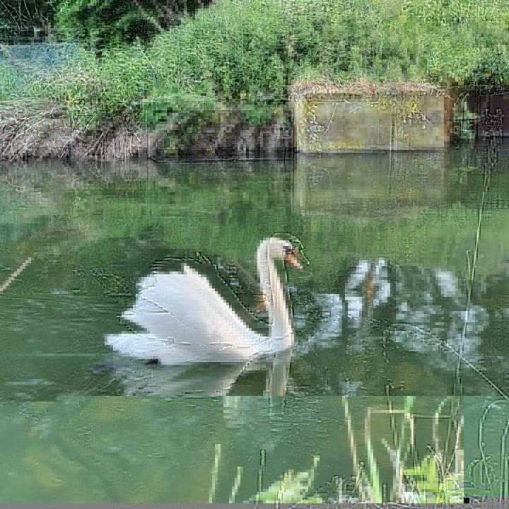 Nederweert De Vliegende Vlinder Bed & Breakfast エクステリア 写真