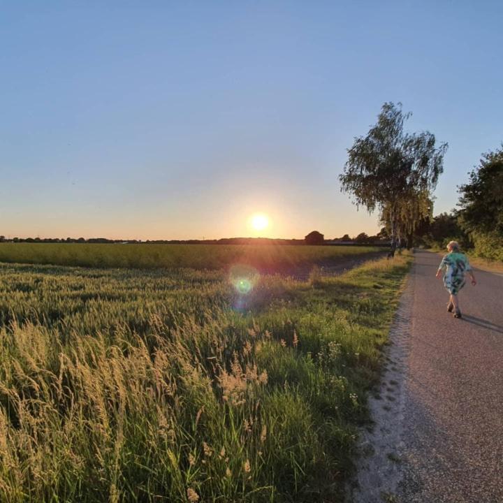 Nederweert De Vliegende Vlinder Bed & Breakfast エクステリア 写真