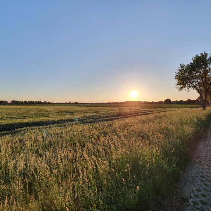 Nederweert De Vliegende Vlinder Bed & Breakfast エクステリア 写真