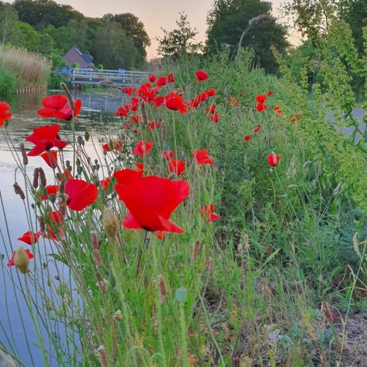 Nederweert De Vliegende Vlinder Bed & Breakfast エクステリア 写真