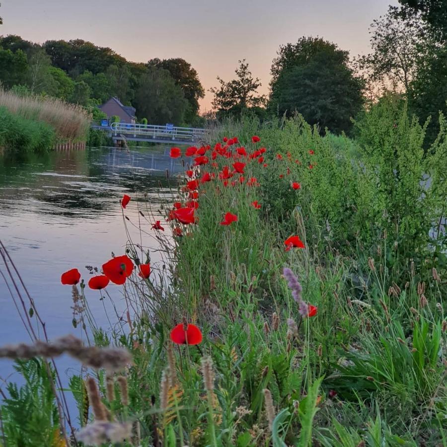 Nederweert De Vliegende Vlinder Bed & Breakfast エクステリア 写真