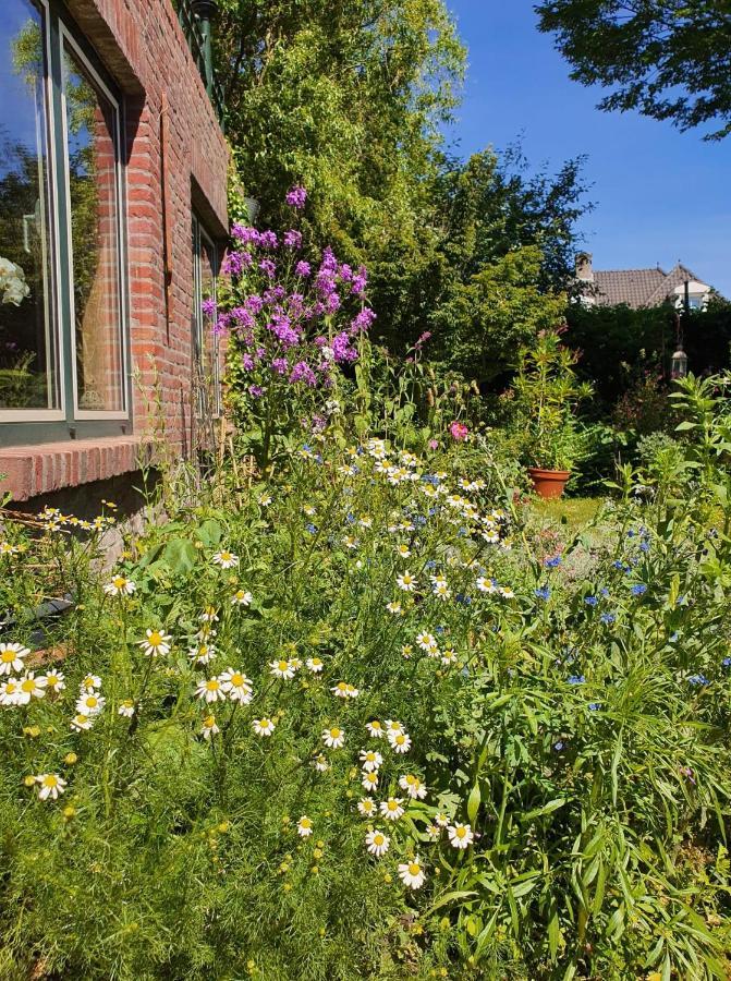 Nederweert De Vliegende Vlinder Bed & Breakfast エクステリア 写真
