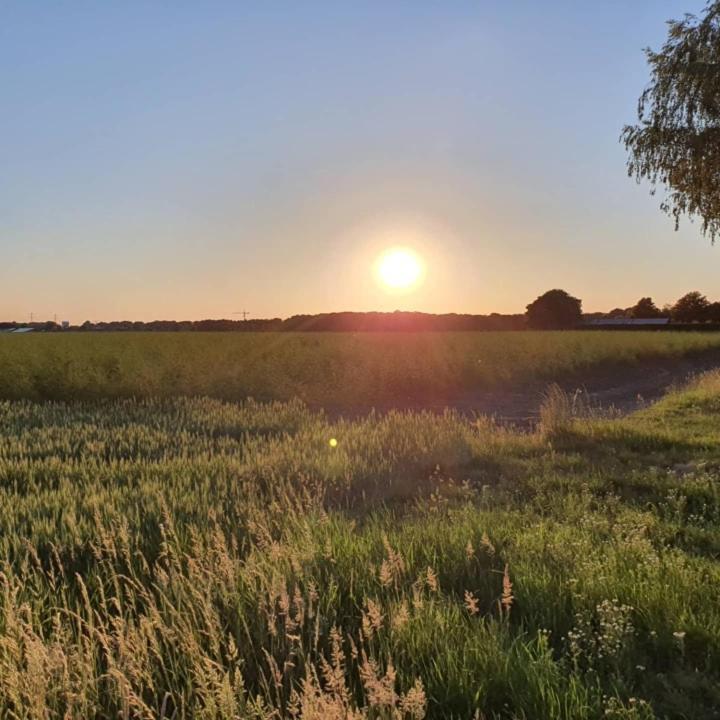 Nederweert De Vliegende Vlinder Bed & Breakfast エクステリア 写真